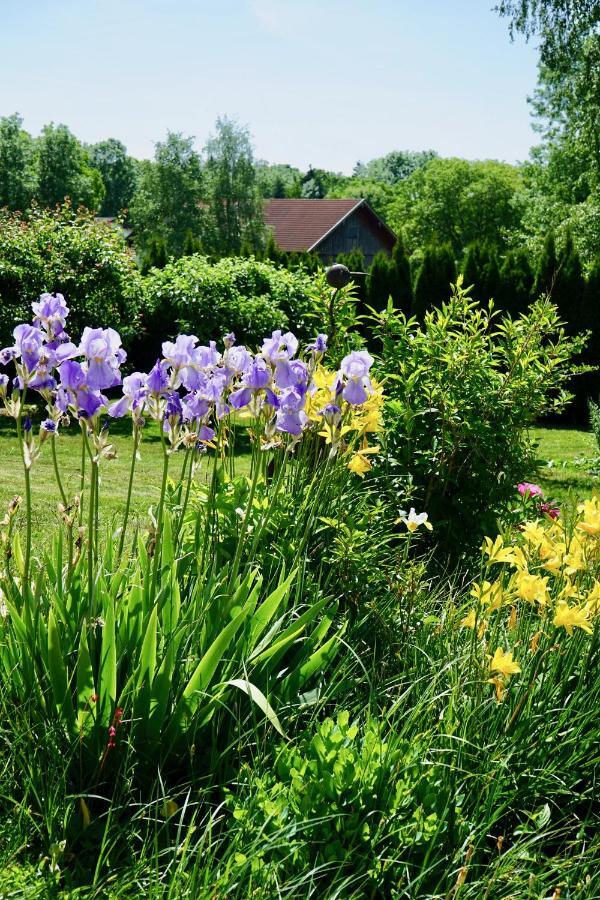 Ferienwohnung Auszeit Im Pfaffenwinkel - Wessobrunn Bagian luar foto